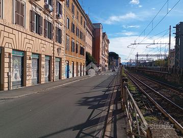 NEGOZIO A ROMA