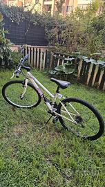 bici 26