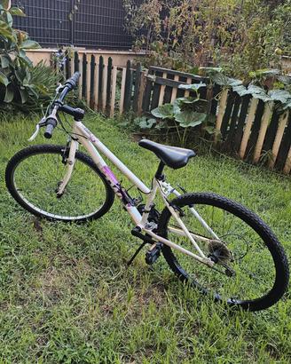 bici 26