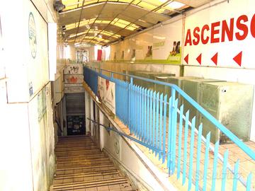 Negozio Roma [Cod. rif 3300814VCG] (Tomba di Neron