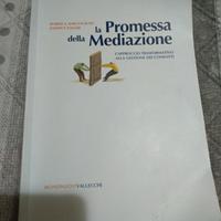 La promessa della Mediazione