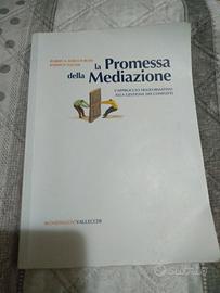 La promessa della Mediazione