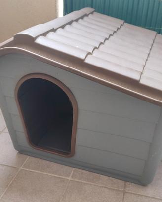 Cuccia + Vari Accessori in Omaggio