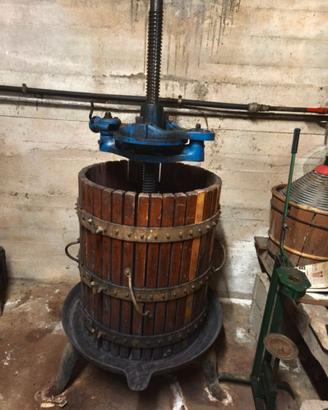 Torchio alto cm 170 circa