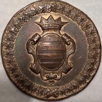 Medaglia Regionale in Bronzo