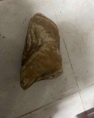 Rocce vere x acquario