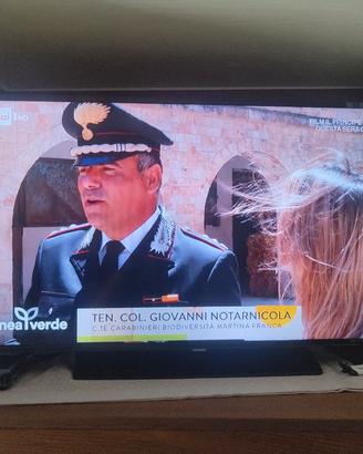 televisore Samsung 40 pollici
