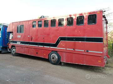 Van trasporto 5 cavalli + living