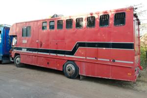 Van trasporto 5 cavalli + living