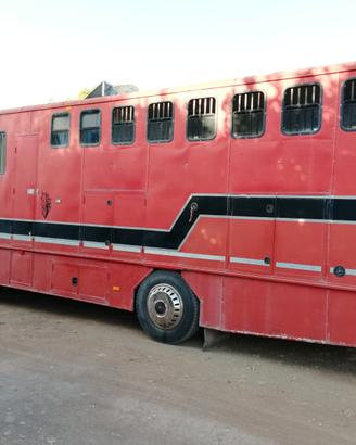 Van trasporto 5 cavalli + living