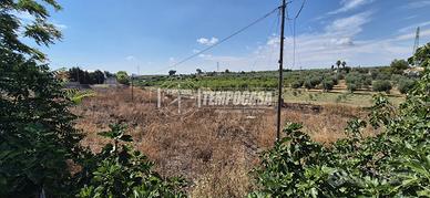 TERRENO AGRICOLO