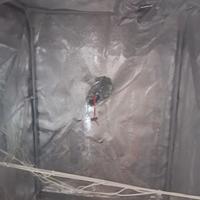 Box Secret Jardin (solo box)