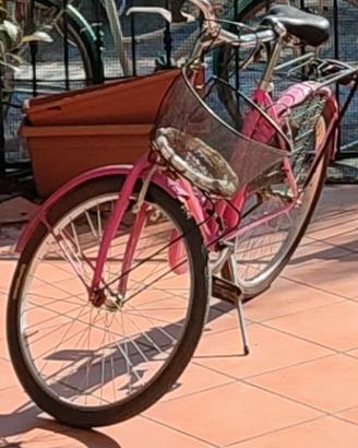 Bicicletta ruota 24