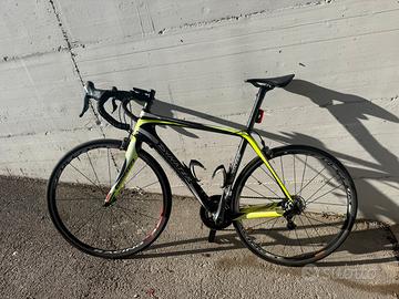 Bici corsa Dynatek Beevo Full Carbon - Taglia 56