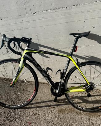Bici corsa Dynatek Beevo Full Carbon - Taglia 56
