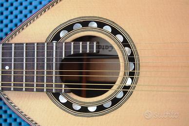 Mandolino di liuteria a fondo piatto.