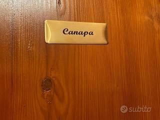 Contratto canone concordato per studenti