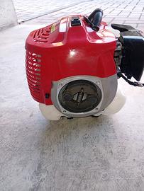 motore per decespugliatore 33cc 