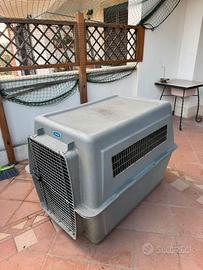 Kennel cane taglia Grande