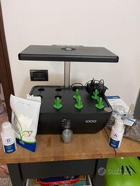 Serra Idroponica IDOO