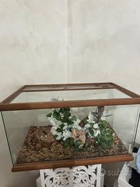 Teca per serpenti e rettili