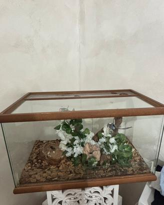 Teca per serpenti e rettili