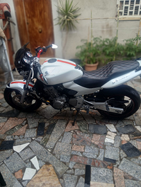 Honda hornet 600 stile barracuda