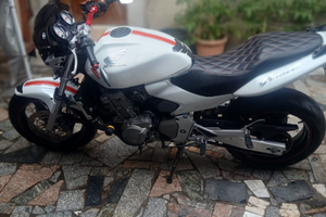 Honda hornet 600 stile barracuda