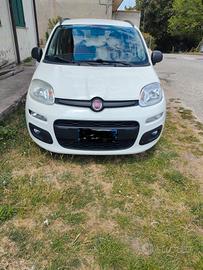 fiat panda diesel 