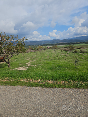 Terreno agricolo Maracalagonis