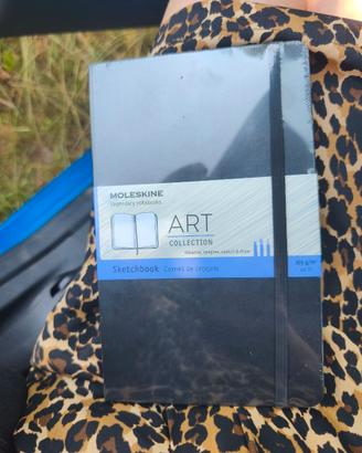 Sketchbook moleskine