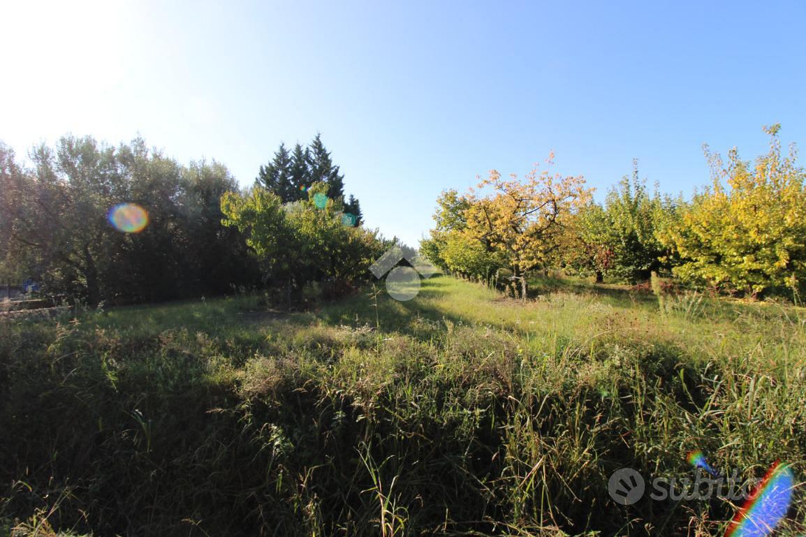 RUSTICO A CESENA - Vista 5