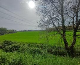 Terreno agricolo a ridosso del centro urbano