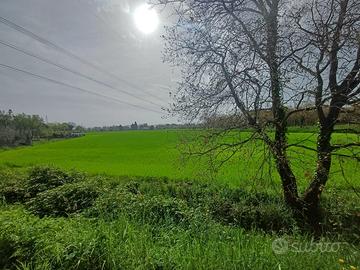 Terreno agricolo a ridosso del centro urbano
