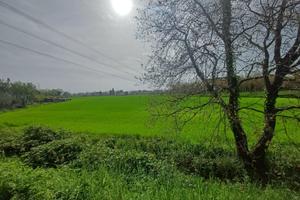 Terreno agricolo a ridosso del centro urbano