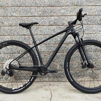 Bici Whistle Mtb 29