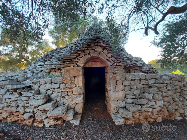 Trullo e uliveto