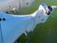 Immagine 12