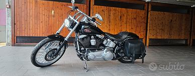 harley davidson softail custom 