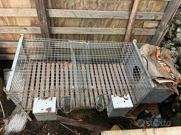 Gabbia conigli