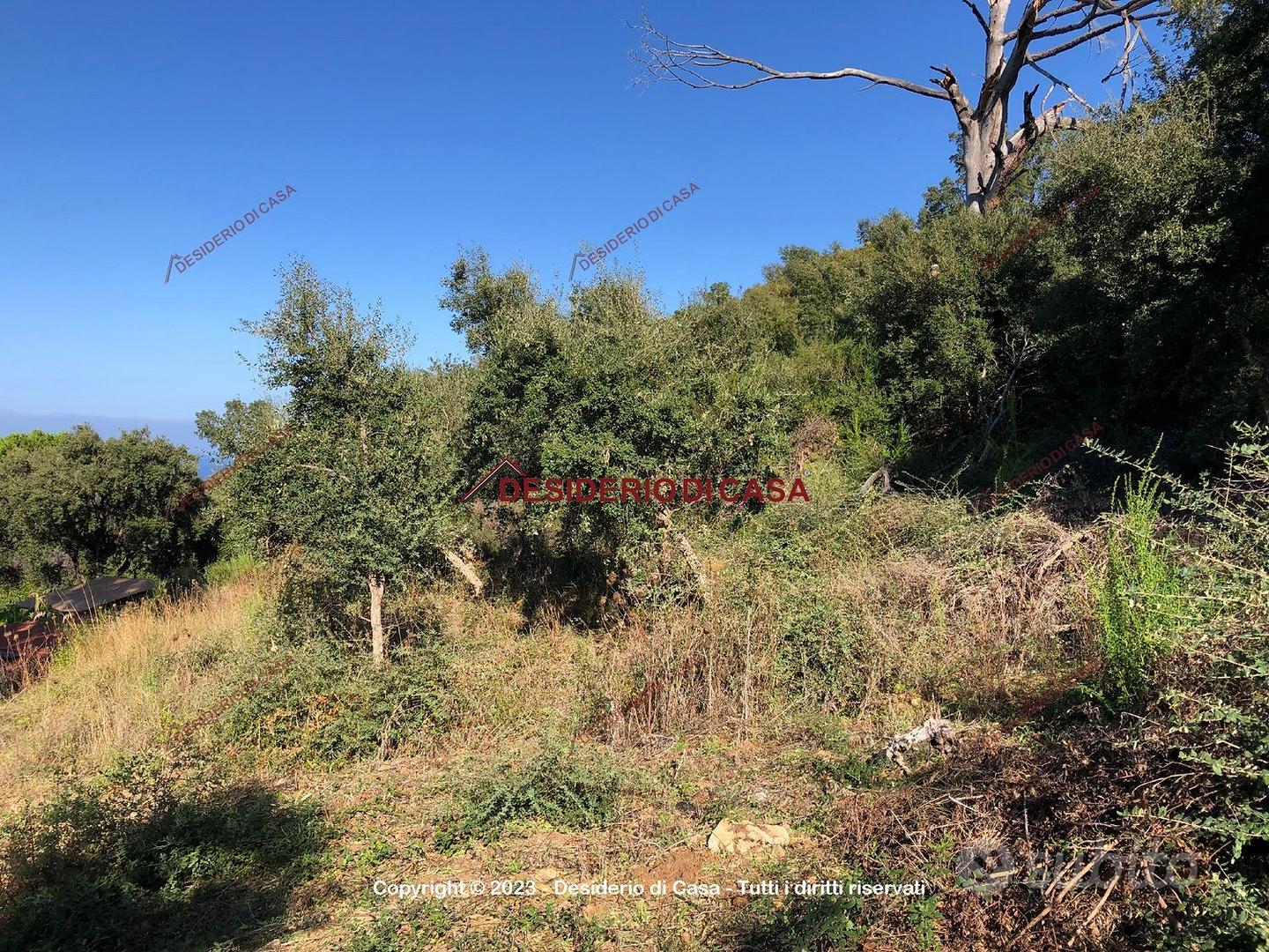 Terreno, Cefalù. - Vista 5