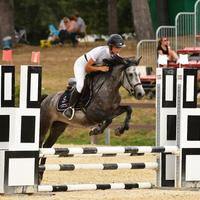 Pony