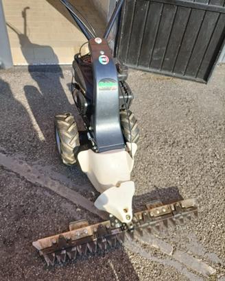Trincia erba 123 cc