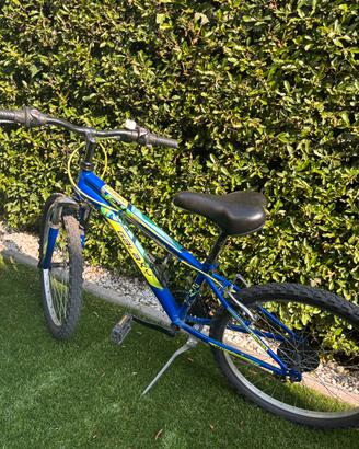 Bicicletta da ragazzo 24’