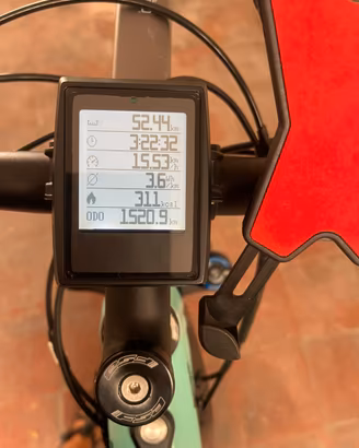 Bici elettrica