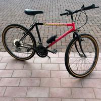 Bicicletta MTB RosaNera cambio Shimano .