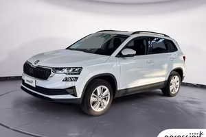 SKODA Karoq 2.0 tdi Executive 4x4 150cv dsg