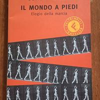 David Le Breton - A piedi Elogio della marcia