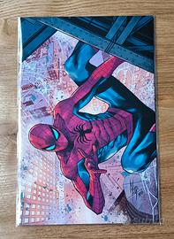 Ultimate Spider-Man #1 - Variant Panini Comics