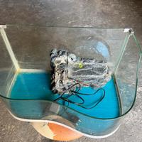 Acquario per tartarughe o pesciolini